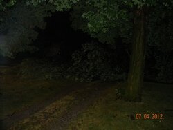 Big Storm just knocked down a big tree in my yard what a way to wake up!!