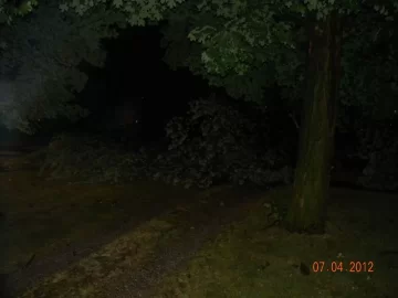 [Hearth.com] Big Storm just knocked down a big tree in my yard what a way to wake up!!