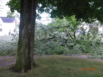 [Hearth.com] Big Storm just knocked down a big tree in my yard what a way to wake up!!