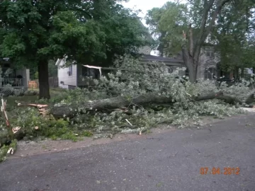 [Hearth.com] Big Storm just knocked down a big tree in my yard what a way to wake up!!