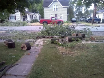 [Hearth.com] Big Storm just knocked down a big tree in my yard what a way to wake up!!
