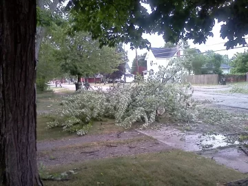 [Hearth.com] Big Storm just knocked down a big tree in my yard what a way to wake up!!