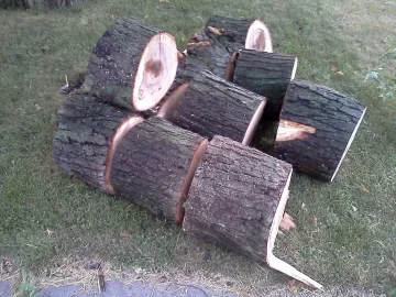 [Hearth.com] Big Storm just knocked down a big tree in my yard what a way to wake up!!