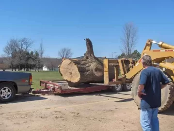 [Hearth.com] Heavy Load
