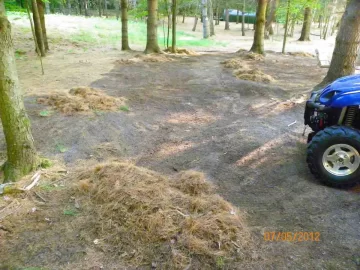 [Hearth.com] Pine Needle Removal