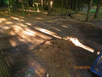 [Hearth.com] Pine Needle Removal