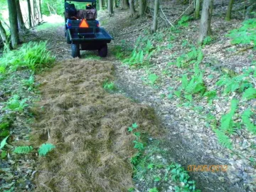 [Hearth.com] Pine Needle Removal