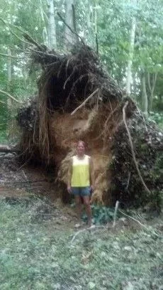 [Hearth.com] holy smokes wood everywhere