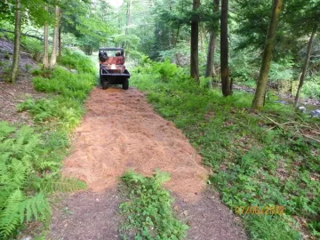 [Hearth.com] Pine Needle Removal