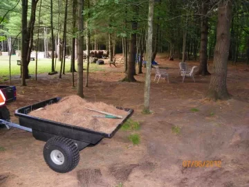 [Hearth.com] Pine Needle Removal