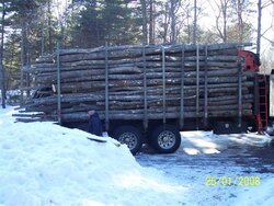 My load of tree length wood pics:)