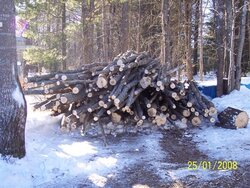My load of tree length wood pics:)