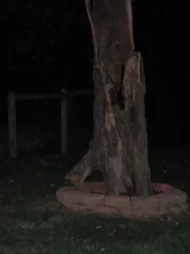 [Hearth.com] Chimney log