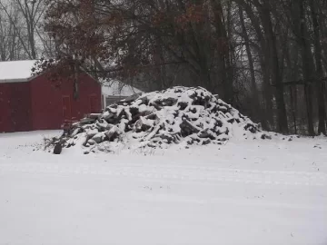 [Hearth.com] My wood for next winter!