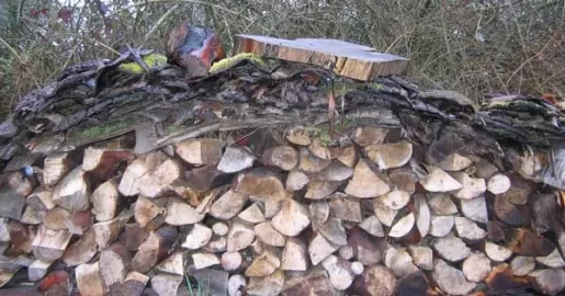 [Hearth.com] Orientation of stacked wood