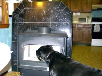 [Hearth.com] Look what followed me home today...