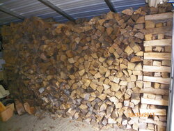 Newbie Wood Shed Help