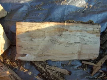 [Hearth.com] Wood ID please.