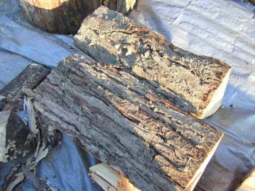 [Hearth.com] Wood ID please.