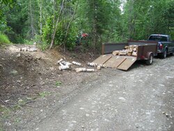 2 trips to wood cutting area, pics