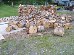 2 trips to wood cutting area, pics