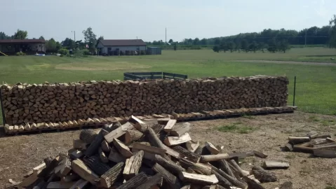 [Hearth.com] VACATION WOODPILE GAZING