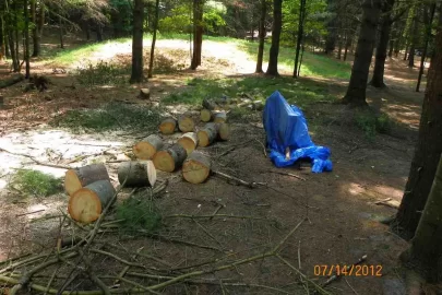 [Hearth.com] White Pine
