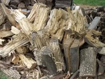 [Hearth.com] The worst wood I ever (tried to) split