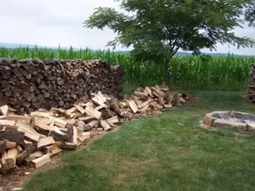 [Hearth.com] July 4 Splitting
