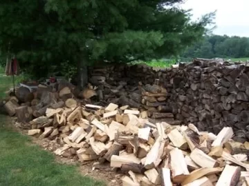 [Hearth.com] July 4 Splitting