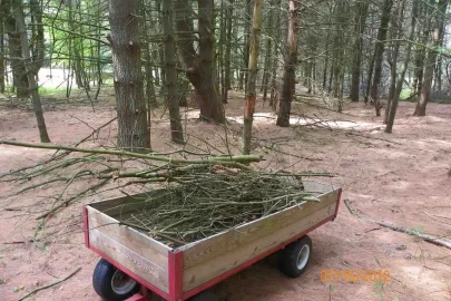 [Hearth.com] White Pine