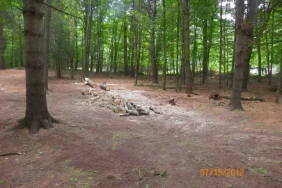[Hearth.com] White Pine