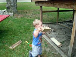 Boys helping me get the woodshed filled