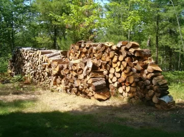 [Hearth.com] VACATION WOODPILE GAZING