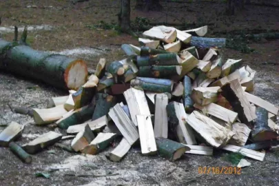 [Hearth.com] White Pine