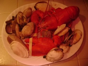 [Hearth.com] Anyone see Live & Kicking Lobsters $3.99 lb at the Market this weekend? See pics