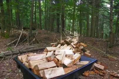 [Hearth.com] White Pine