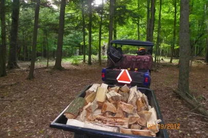 [Hearth.com] White Pine