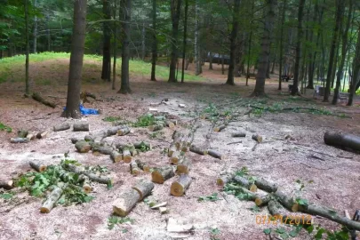 [Hearth.com] Fireplace/Rock Picking