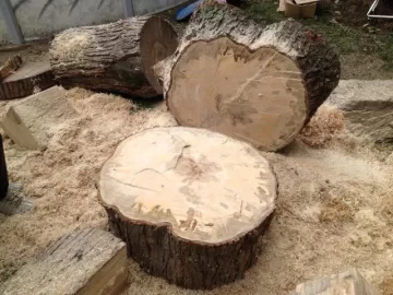 [Hearth.com] Weekend Scrounge - Huge Maple