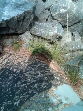 [Hearth.com] weed block for crushed rock