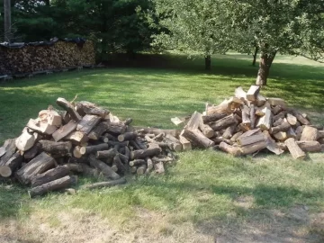 [Hearth.com] Starting to get caught up!