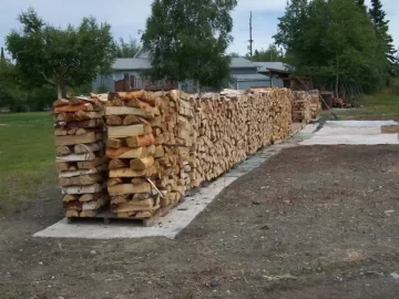 [Hearth.com] Thoughts on Old Backs and Splitting