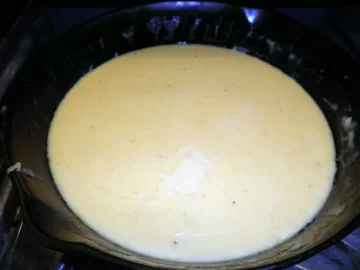 [Hearth.com] Storm turns steak into cheese steaks