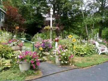[Hearth.com] Blooming time in our front yard.
