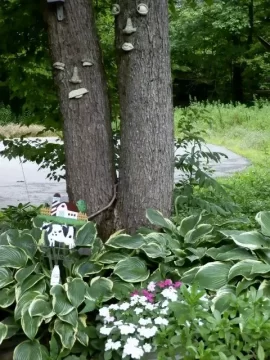 [Hearth.com] Blooming time in our front yard.