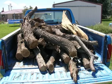 [Hearth.com] Is Russian Olive decent wood?