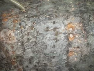 [Hearth.com] Question for the Tree Experts