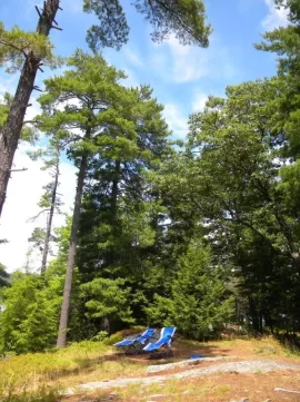 [Hearth.com] Lake George