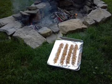 [Hearth.com] some shrimp on the 'barbie'.....